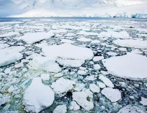 Antarctic Sea Ice Is at Record Lows. Is It an Alarming Shift?