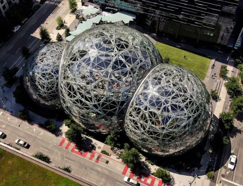 Amazon Workers Walk Out Over Layoffs and Broken Climate Promises